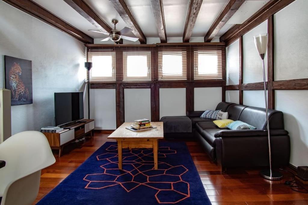 L'Or - Typical Alsacian Apartment In Στρασβούργο Εξωτερικό φωτογραφία